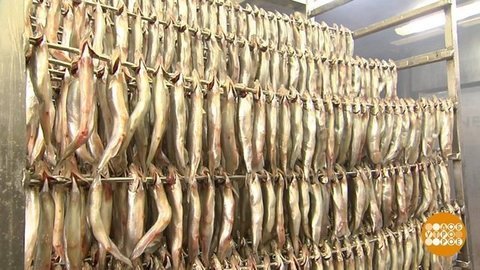Копченая рыбка на берегу Финского залива. Доброе утро. Фрагмент выпуска от 23.07.2019
