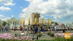 ВДНХ: здесь будет «Сад пяти чувств». Доброе утро. Фрагмент выпуска от 31.07.2019