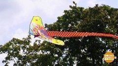 Ловим лето за хвост. Доброе утро. Фрагмент выпуска от 31.07.2019