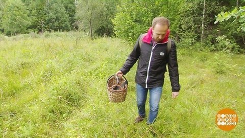 Тихая охота: советы новичкам. Доброе утро. Фрагмент выпуска от 02.08.2019
