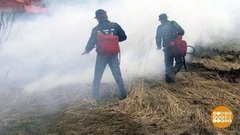 Леса горят. А виноваты люди… Доброе утро. Фрагмент выпуска от 02.08.2019