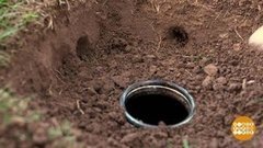 Ловушка для крота. Доброе утро. Фрагмент выпуска от 05.08.2019