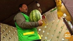 Арбуз, откройся! Доброе утро. Фрагмент выпуска от 05.08.2019