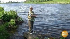 Гриб против комаров. Доброе утро. Фрагмент выпуска от 08.08.2019