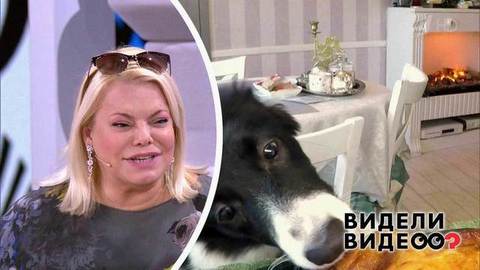 Один дома: собака Яны Поплавской. Видели видео? Фрагмент выпуска от 11.08.2019