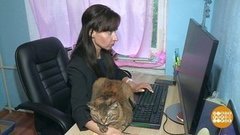 Как снять квартиру? Доброе утро. Фрагмент выпуска от 13.08.2019