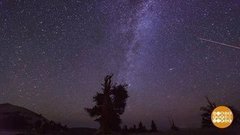 Любовь и звездопад. Доброе утро. Фрагмент выпуска от 13.08.2019