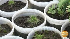 Кедровый детский сад. Доброе утро. Фрагмент выпуска от 13.08.2019