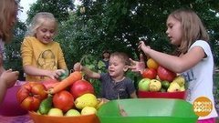 Чемпионат по мытью урожая. Доброе утро. Фрагмент выпуска от 15.08.2019