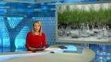 Выпуск новостей в 12:00 от 17.08.2019