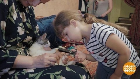 Котенок + ребенок. Доброе утро. Фрагмент выпуска от 21.08.2019