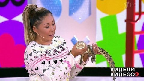 Анита Цой и ее подшефный крокодил. Видели видео? Фрагмент выпуска от 25.08.2019