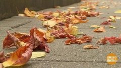 Время шуршать! Доброе утро. Фрагмент от 27.08.2019