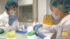 Ген долголетия. Доброе утро. Фрагмент выпуска от 29.08.2019