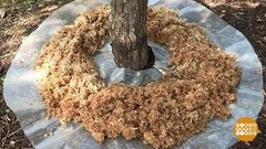 Вредители, берегитесь! Доброе утро. Фрагмент выпуска от 30.08.2019