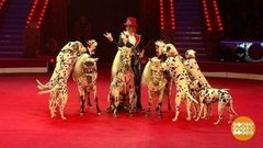 Цирк — не только с конями. Доброе утро. Фрагмент выпуска от 09.09.2019