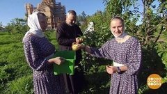 Каждый день — День трезвости. Доброе утро. Фрагмент выпуска от 11.09.2019