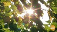 Пять способов продлить лето. Доброе утро. Фрагмент выпуска от 16.09.2019