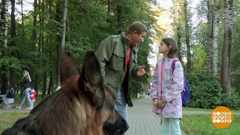 Иду из школы, и вдруг — собака! Доброе утро. Фрагмент выпуска от 17.09.2019