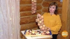 Лук в колготках и другие способы сохранить урожай. Доброе утро. Фрагмент выпуска от 18.09.2019