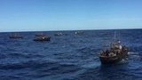 В Находку завтра должны доставить задержанных за браконьерство северокорейских рыбаков