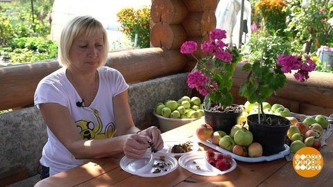 Дача в сентябре. Доброе утро. Фрагмент выпуска от 19.09.2019