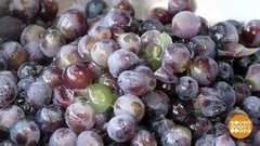 Антипростудные заготовки. Доброе утро. Фрагмент выпуска от 19.09.2019