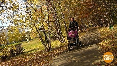 Осень — уже тут! Доброе утро. Фрагмент выпуска от 20.09.2019