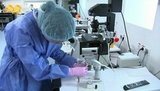 Специалисты рассказали, есть ли связь между проведением ЭКО и развитием онкологических заболеваний