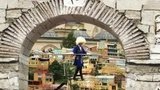 В столице Чеченской республике проходит Фестиваль культуры и спорта