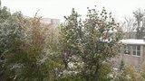 На Москве-реке перевернулась яхта, пострадали пять человек