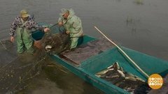 Большая астраханская рыбалка. Доброе утро. Фрагмент выпуска от 24.09.2019