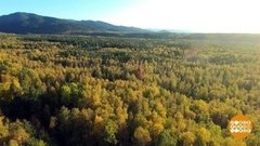 Юбилей Байкальского заповедника. Доброе утро. Фрагмент выпуска от 26.09.2019