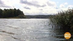 Край тридцати пяти озер. Доброе утро. Фрагмент выпуска от 01.10.2019