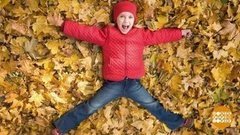 Не гербарием единым! Доброе утро. Фрагмент выпуска от 11.10.2019