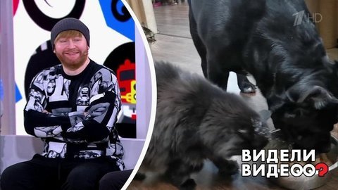 Видели видео? Часть 2. Выпуск от 13.10.2019