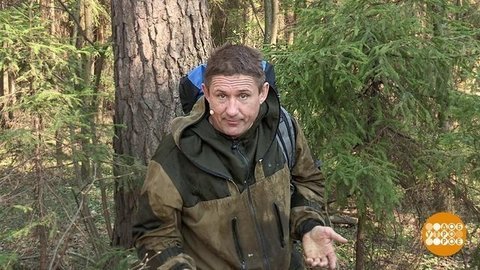 Цена спички. Доброе утро. Фрагмент выпуска от 16.10.2019