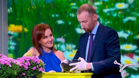 Сексуальная невеста. Давай поженимся! Лучшие моменты выпуска от 16.10.2019