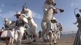 В Крыму завершился грандиозный арт-фестиваль, посвященный экологии