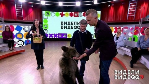 Видели видео? Часть 1. Выпуск от 20.10.2019