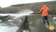 Рыбки уснули в пруду… Доброе утро. Фрагмент выпуска от 23.10.2019