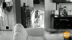 В мире. Вторжение козла. Доброе утро. Фрагмент выпуска от 24.10.2019