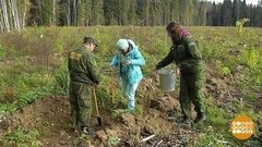 Лесов много не бывает. Доброе утро. Фрагмент выпуска от 24.10.2019
