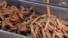 Сосиски и компания. Теория заговора. Выпуск от 26.10.2019