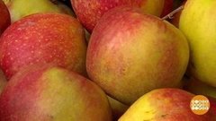 Зимние яблочки. Доброе утро. Фрагмент выпуска от 29.10.2019