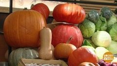 Самая-самая тыква. Доброе утро. Фрагмент выпуска от 31.10.2019