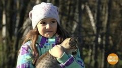 Вдали от шума городского… Доброе утро. Фрагмент выпуска от 01.11.2019