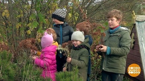 Длинные выходные на даче. Доброе утро. Фрагмент выпуска от 01.11.2019