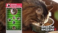 Несекретные материалы: Виктор Гусев и его хвостатая сборная. Видели видео? Фрагмент выпуска от 03.11.2019