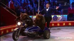 Аттракцион «Медвежий цирк». Большое гала-представление к 100-летию советского цирка. Фрагмент выпуска от 04.11.2019